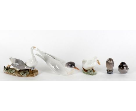 
	
		Royal Copenhagen porcelain birds including Tern, 827, 26.5cms long, Owl 1742, Wren 1519, Geese 609 and Geese 1192 (5)
		