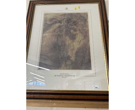 After Raphael study for the head of a horse, coloured print, framed and glazed