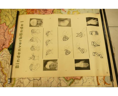 Very Large Wall Hanging Early Continental Roll Print of Medical Theme: 120 x 97cm 