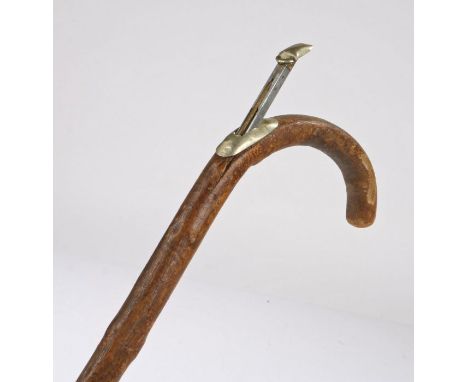 19th Century horse measuring walking stick, the curved handle with removable measure with scale in hands and metres, the stic