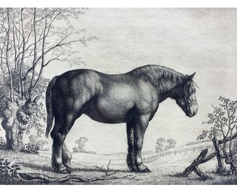 William Evan Charles Morgan (British 1903-1979): 'Champion Suffolk Filly Vivandiere', etching signed titled and dated 1931, 2