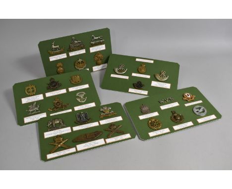 A Collection of Various Vintage Regimental Badges Mounted on Cards 