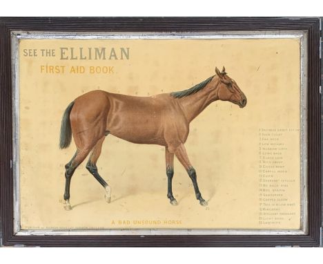 An Edwardian Veterinary chart "A Bad Unsound Horse" from Elliman's First Aid Book, published by Elliman Sons &amp; Co., Sloug