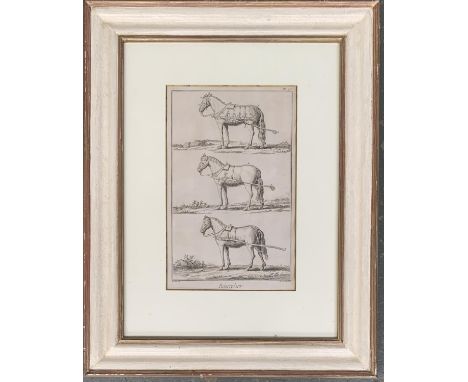 Benard after Goussier, 'Bourrelier', 18th century equestrian print, showing three types of harnesses, 35x22cm 