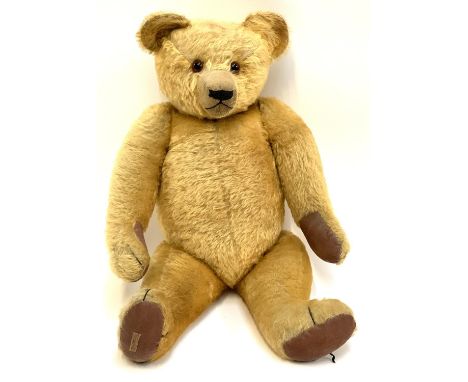 A large vintage Chad Valley Hygienic Toys teddy bear, with brown and black eyes and pronounced snout, label to foot, 66cmH to