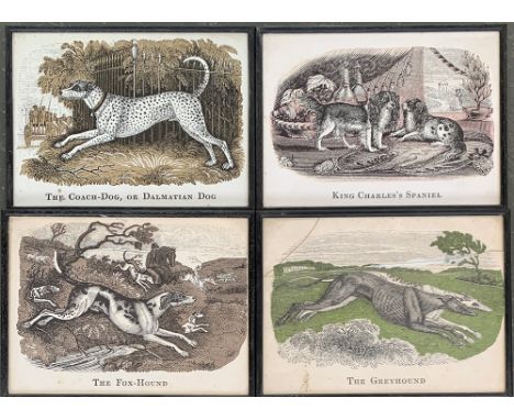 A set of four coloured woodblock prints, 'The Coach-Dog, or Dalmatian Dog', 'King Charles's Spaniel', 'The Fox-Hound', 'The G