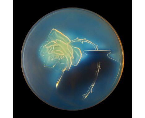  RENÉ LALIQUE (1860-1945) UNE ROSE BOX, NO. 40 designed 1921yellow opalescent, silk and card basemoulded R. LALIQUE, engraved