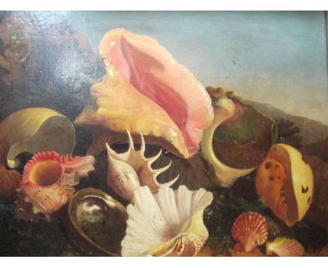 ENGLISH SCHOOL 19TH CENTURY
Still Life with Shells on a Ledge
Indistinctly Signed 
Oil on Canvas
60cm x 64cm