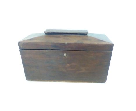 Victorian sarcophagus tea caddy