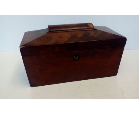 Victorian sarcophagus tea caddy 