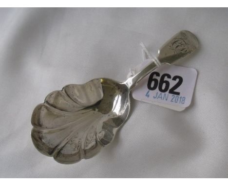Exeter Fiddle pattern caddy spoon 1858 By JW    