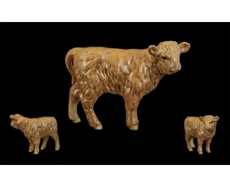 Beswick Hand Painted Farm Animal Figure ' Highland Calf ' Model No 1827. Designer A. Gredington. Issued 1962 - 1990. Height 3