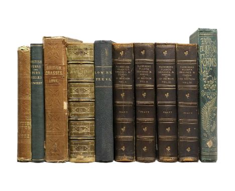 Ferns and Grasses.Sowerby (John E.) and Jonhson (Charles). The Ferns of Great Britain. London: John E. Sowerby, 1855, forty-n