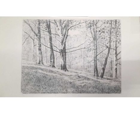 Christopher Deakin (British, 1946-2007), Dark Wood, Mt Edgecombe, signed l.r., monochrome etching, Artist Proof No.2/10, 44 b