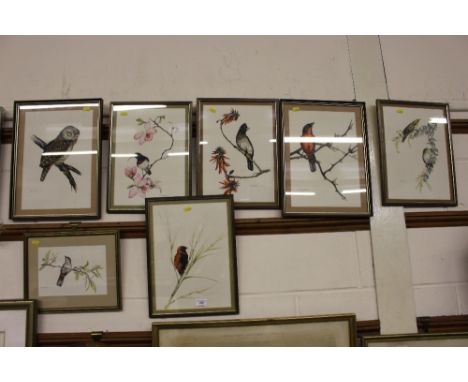 K Ray-Brower, eight various watercolour studies depicting birds