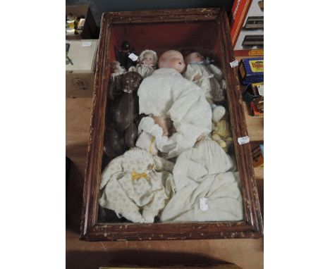 A stained frame and glazed display box containing 14 mixed Dolls including early 20th century Armand Marseille bisque headed 