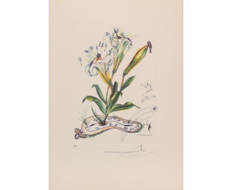 Salvador Dali. 1972. â€œLilies, soft watchâ€. Color etching on arches paper. Signed "Dali" lower right in pencil. Annotated E