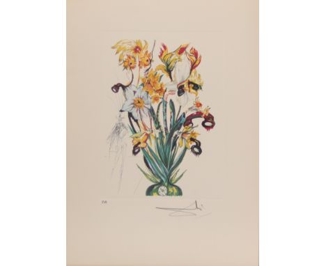 Salvador Dali. 1972. â€œNarcisus, Andalusianâ€. Color etching on arches paper. Signed "Dali" lower right in pencil. Annotated