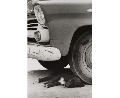 280
ELLIOTT ERWITT  1928
Senza titolo  c. 1950
Stampa fotografica alla gelatina sali d’argento.  Timbro dell’autore al verso,