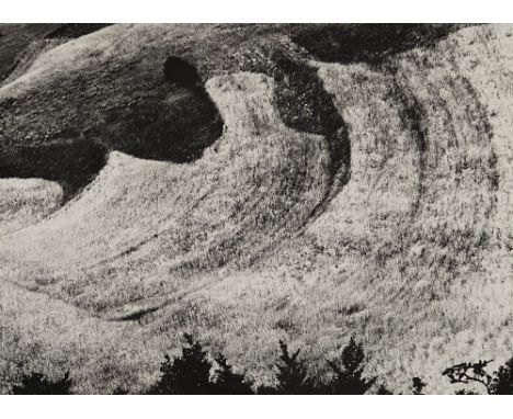 65
MARIO GIACOMELLI  1925-2000
Paesaggio  c. 1970
Stampa fotografica vintage alla gelatina sali d’argento.  Timbro e titolo d