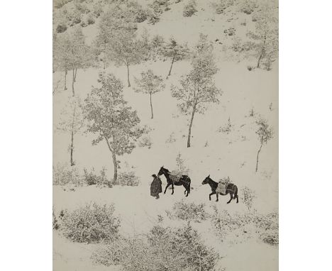 75
FULVIO ROITER  1926
Umbria  1956
Stampa fotografica vintage alla gelatina sali d’argento. Timbro dell’autore e titolo da l