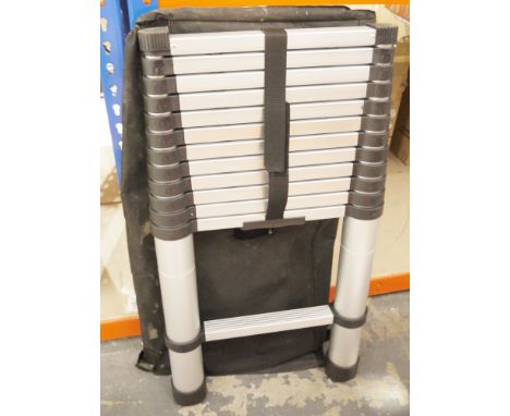 Nordstrand telescopic aluminium ladder in bag.