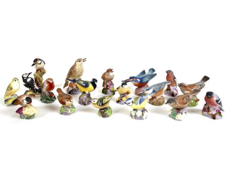 A collection of Royal Worcester china figurines, all modelled as birds, comprising robin, 3197, wren, 3198, blue tit, 3199, w