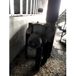 Located: Vincennes, IN -- blower, $50 loading fee ***Note from Auctioneer: Loading Fees as stated in
