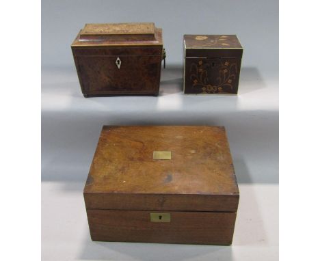 A 19th century birds-eye maple sarcophagus tea caddy, the hinged lid enclosing a lidded interior with twin gilt lion head han