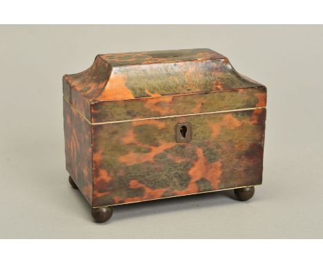 AN EARLY 19TH CENTURY TORTOISESHELL TEA CADDY, the hinged cover with rectangular inset cartouche, the interior with replaceme
