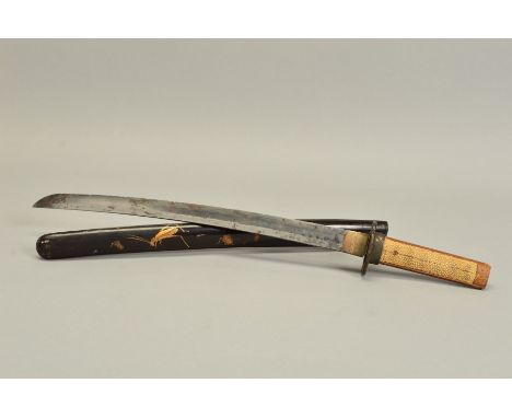 A LATE 19TH CENTURY JAPANESE SWORD, 42cm blade with slight curve, shagreen handle lacking strapping, insect decorated iron ts