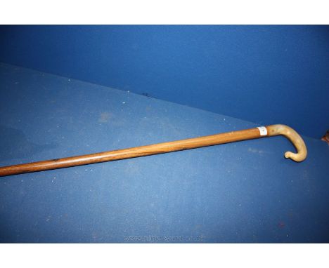 A Horn handled Walking Stick.
