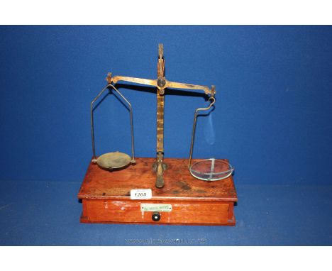 A pair of scientific Balance Scales