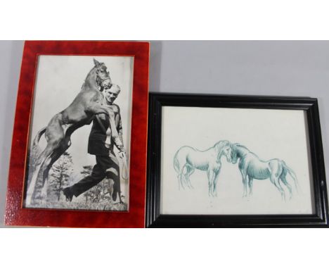 A photographic print, of Sir Peter O'Sullivan with rearing foal, signed in Biro, 29cm x 20cm, and a picture of two horses, ea