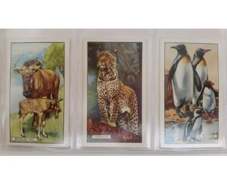 GALLAHER , complete (10), Sporting Personalities, Dogs, British Birds, Wild Animals, Garden Flowers, Butterflies &amp; Moths,