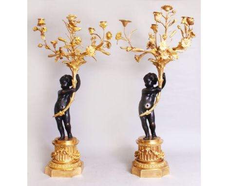 A GOOD PAIR OF FRENCH LOUIS XVI DESIGN BRONZE AND ORMOLU FIVE LIGHT CANDELABRA with a bronze cupid holding flowering branches