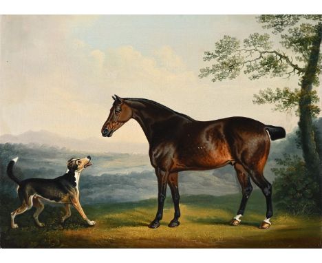 DANIEL CLOWES (BRITISH 1774-1829) A HORSE WITH A HOUND IN A WOODED LANDSCAPE  Oil on canvas Signed (lower right) 44.5 x 60.6c