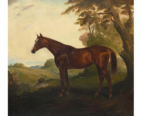 JAMES LYNWOOD PALMER (BRITISH 1868-1941) A BAY HORSE IN A WOODED LANDSCAPE  Oil on canvas Signed and dated `1915' (lower righ