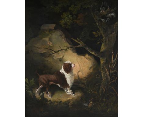 RAMSAY RICHARD REINAGLE (BRTISH 1775-1862) A HUNTING DOG HOLDING A CAT AT A BAY IN A WOODLAND, 1793 Oil on canvas Signed, dat