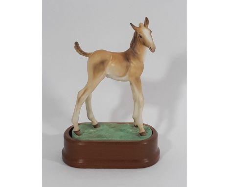 Royal Worcester Limited Edition Thoroughbred Foal modelled by Doris Lindner, 1980, no 10. Height 17.7cm excluding plinth 