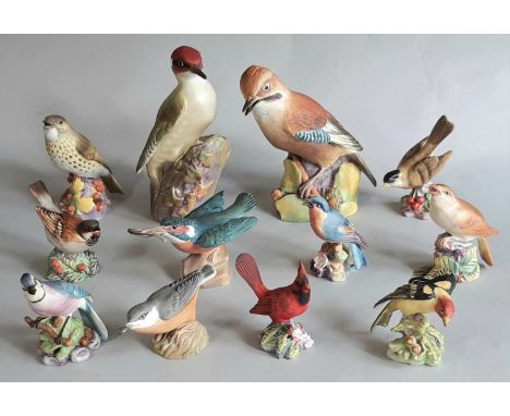 Twelve Royal Worcester figures of British and American birds in various sizes comprising Jay, Woodpecker, Nightingale, Thrush