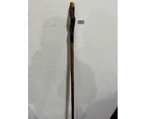 A hazel walking stick with twisted handle. 53½' long