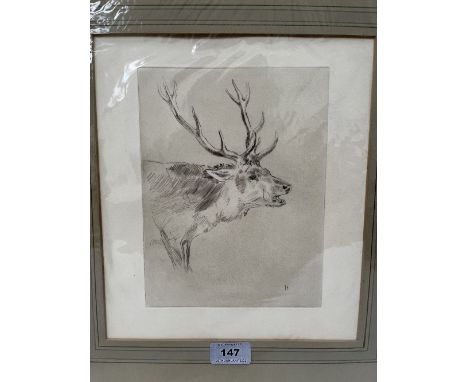 ENGLISH SCHOOL. 20TH CENTURY  Study of a stag. Signed L.S. Etching 8½' x 6½' Unframed.