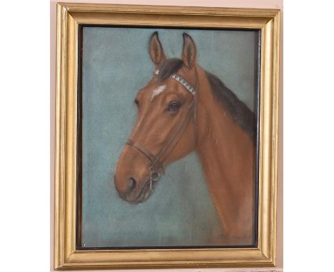 A pastel portrait of a chestnut horse, signed 1954. H=68, W=59, D=5cm