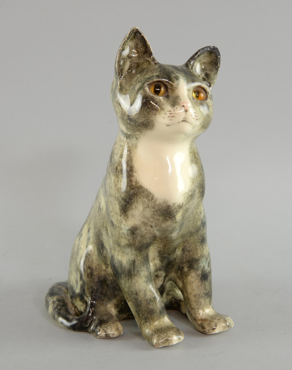 Winstanley, a seated grey tabby cat with yellow glass eyes. hand ...