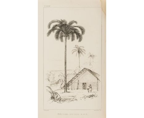 Wallace (Alfred Russel) Palm Trees of the Amazon and their uses, first edition, presentation copy from the author inscribed "