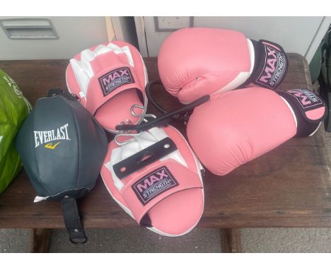 Pair of Everlast boxing gloves and accessories 