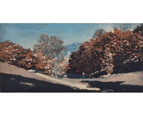 Werkmeister, Wolfgang (*1941) "Baden-Baden am Solmsee" 1995, 57/120, u. sign./dat./num./betit., WVZ 461, PM 19,8x40cm, BM 45,
