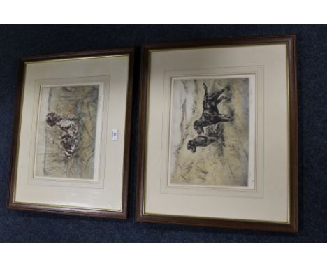 TWO FRAMED &amp; GLAZED SIGNED LIMITED EDITION GUN DOG PRINTS 36 X 27.5 CM