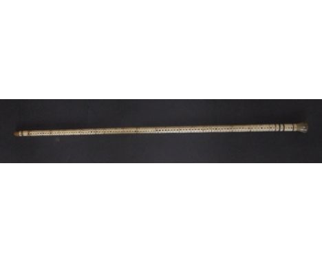 A walking stick formed from shark vertebrae.